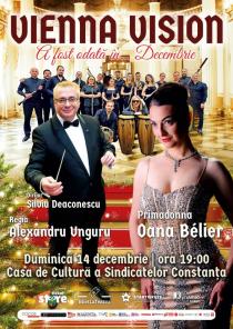 Vienna Vision -   A fost odata in decembrie