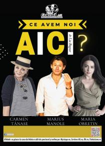 CE AVEM NOI AICI?