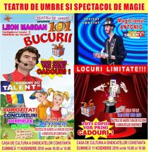 TEATRUL DE UMBRE